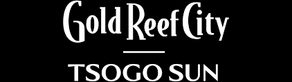 Gold Reef City Theme Park