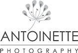 Antoinette Photography Studio
